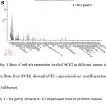 [드루와] 우한폐렴 젊은 남자가 걸리면 고1자 될수있대