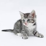 얘들아 주접떨기 하자