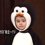 [드루와] 컴퓨터 잘 아는ㅅ사ㅏ람