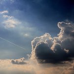 [코로나일지] 2월 22일 날씨 맑음