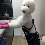 [댓글부탁해] 나 진짜 판도라의 인스타계정있는데