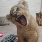 [NCT] 이마끄 귀여워서 어떡허냐..