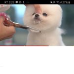 너네유튜브에서 힐링하고싶을때 뭐봄?