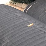 [ㅈㄱㄴ] <b>활발</b>한 오빠가 나한테 대시한 적 잇는데