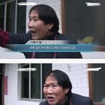 [댓글부탁해] 몸은 쿨톤인데 얼굴은 <b>웜</b>