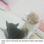 이시국에 남친 생일케이크