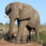 [드루와] 야 너네 그거 아냐 ㅋㅋㅋㅋ