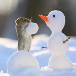 이 <b>시국</b>인데 홍대에 사람 많을까?