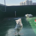 [댓글부탁해] 판 원래 이래??