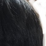 [댓글부탁해] 얘들아 나숏컷했ㄴ데 도와줘 ㅅㅂ