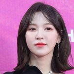 [댓글부탁해] <b>웬디</b> 샤밍컷 넘이쁜데ㅜㅜ 고민됨