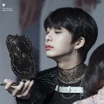 브랜디 좋음?