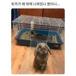 <b>마트</b> 난리남