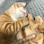 [드루와] <b>이분</b> 누군지 아는 사람