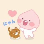 [강다니엘] 루피오짱 슈스야ㅋㅋㅋㅋㅋㅋ