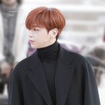 [강다니엘] 코트녤