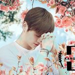 [강다니엘] 다니티 안에 다니엘 (˃̣̣̣̣̣̣︿˂̣̣̣̣̣̣ )