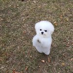 신천지든 정부든 다 <b>환멸</b>남 걍