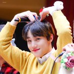 헬스 금지령 내려진 울림의 갑각류