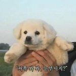 [댓글부탁해] 대구<b>시민</b>들 단체로 한국에서 방출시켜버리면 안됨?