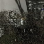 [드루와] 삶의 질 높이는 팁 공유함