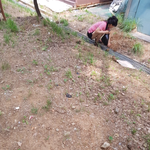 [개깊은빡침] 파렴치한 맛집의 <b>민낯</b>