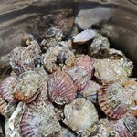 [내가한요리] 일상식탁 - 2월 3주차주말