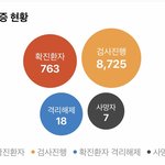 코로나 검사진행수 개오진다