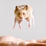 <b>선별</b>진료소에 다녀옴