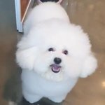 [조언부탁해] <b>새</b>학기에 반장 되려면 우째 해???????????...
