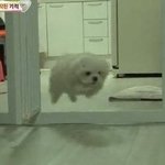 [댓글부탁해] 나 <b>예리</b>랑 수지 닮았다는 말 많이들었는데