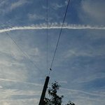 일루미나티 다른 건 몰라도 이건 믿어줘 제발