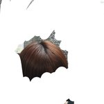 [댓글부탁해] 얘들아 머리<b>염색</b> ㅊㅊ좀