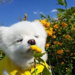 인스타 아이디 지어<b>주랑</b>
