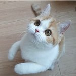 [댓글부탁해] 너네 자기전에 꼭하는거 있어????