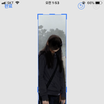 나 비율 졸라나쁘진않지..?