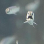 아니!•ㅁㅁ!!! 나도!!!! <b>제주</b>도좀 가자!!!!@