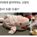 ㅅㅂ이거내가 <b>예민</b>한거?
