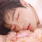 릴바레에서 덕질 중인 아이돌