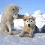 [댓글부탁해] <b>아아</b> 잘마시는 애들아
