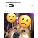 [드루와] 쪽팔려쪽팔려쪽팔려
