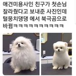 [드루와] 난 코로나가 무섭기도 한데 너무 빡침ㅋㅋ
