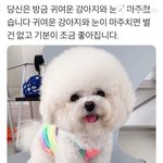 확진자 <b>동선</b> 있잖아