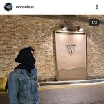 [EXO] 훈스타에 차뇨리 등장