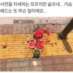 [댓글부탁해] 콘서트로 <b>야자</b>빼본애들아 ㅈㅂㅈㅂ