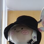 [강다니엘] 힙깅이랑 읍읍이 <b>버킷</b>햇 썼대ㅋㅋㅋㅋㅋㅋㅋㅋㅋㅋㅋㅋㅋㅋㅋㅋ