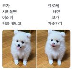 [19] 18여자 <b>궁물</b>받ㅇ