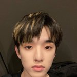 데이<b>식스</b>팬들 진짜 진심임...?