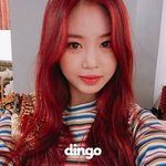 [19] 나만 <b>주접</b>댓글작작하라는거좀그렇냐