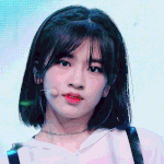 [모두드루와] 안유진 악개들 이상해